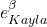 e^\beta_{Kayla}